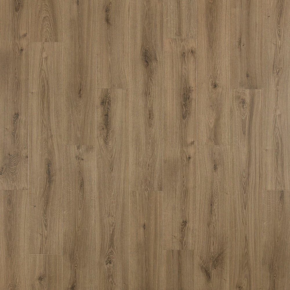 Pergo Pro +WetProtect Knightwood Oak 10-mm T x 7-1/2-in W x 47-1/4-in L Waterproof Wood Plank Laminate Flooring (27-sq ft / Carton)