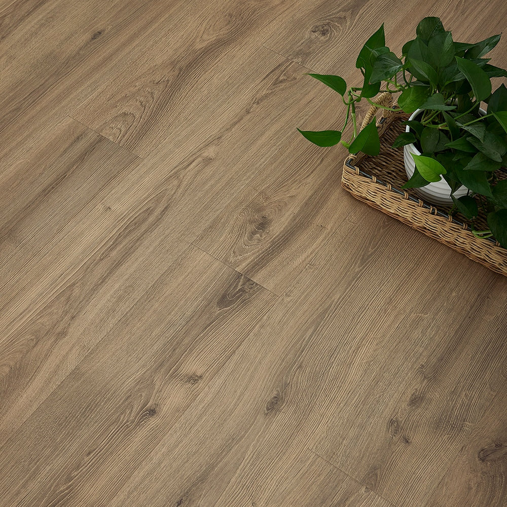 Pergo Pro +WetProtect Knightwood Oak 10-mm T x 7-1/2-in W x 47-1/4-in L Waterproof Wood Plank Laminate Flooring (27-sq ft / Carton)