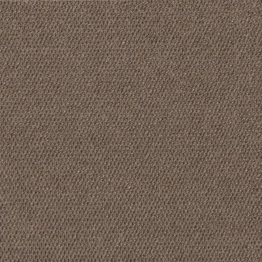 Foss Wallagrass 18-in x 18-in Espresso Brown Peel and Stick Indoor or Outdoor Carpet Tile (36-sq ft)