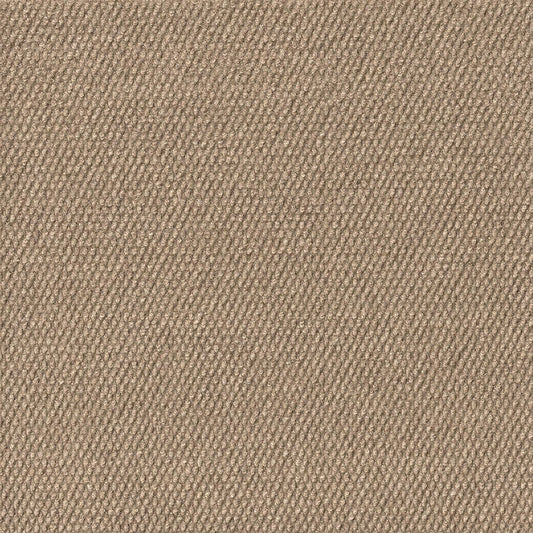 Foss Wallagrass 18-in x 18-in Taupe Brown Peel and Stick Indoor or Outdoor Carpet Tile (36-sq ft)