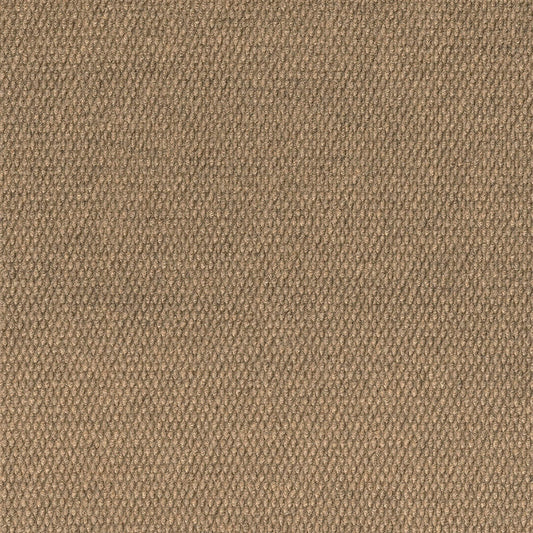 Foss Wallagrass 18-in x 18-in Chestnut Brown Peel and Stick Indoor or Outdoor Carpet Tile (36-sq ft)