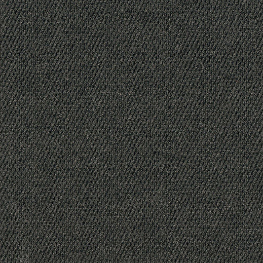 Foss Wallagrass 18-in x 18-in Black Ice Black Peel and Stick Indoor or Outdoor Carpet Tile (36-sq ft)