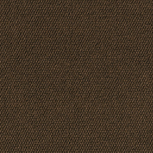 Foss Wallagrass 18-in x 18-in Mocha Brown Peel and Stick Indoor or Outdoor Carpet Tile (36-sq ft)