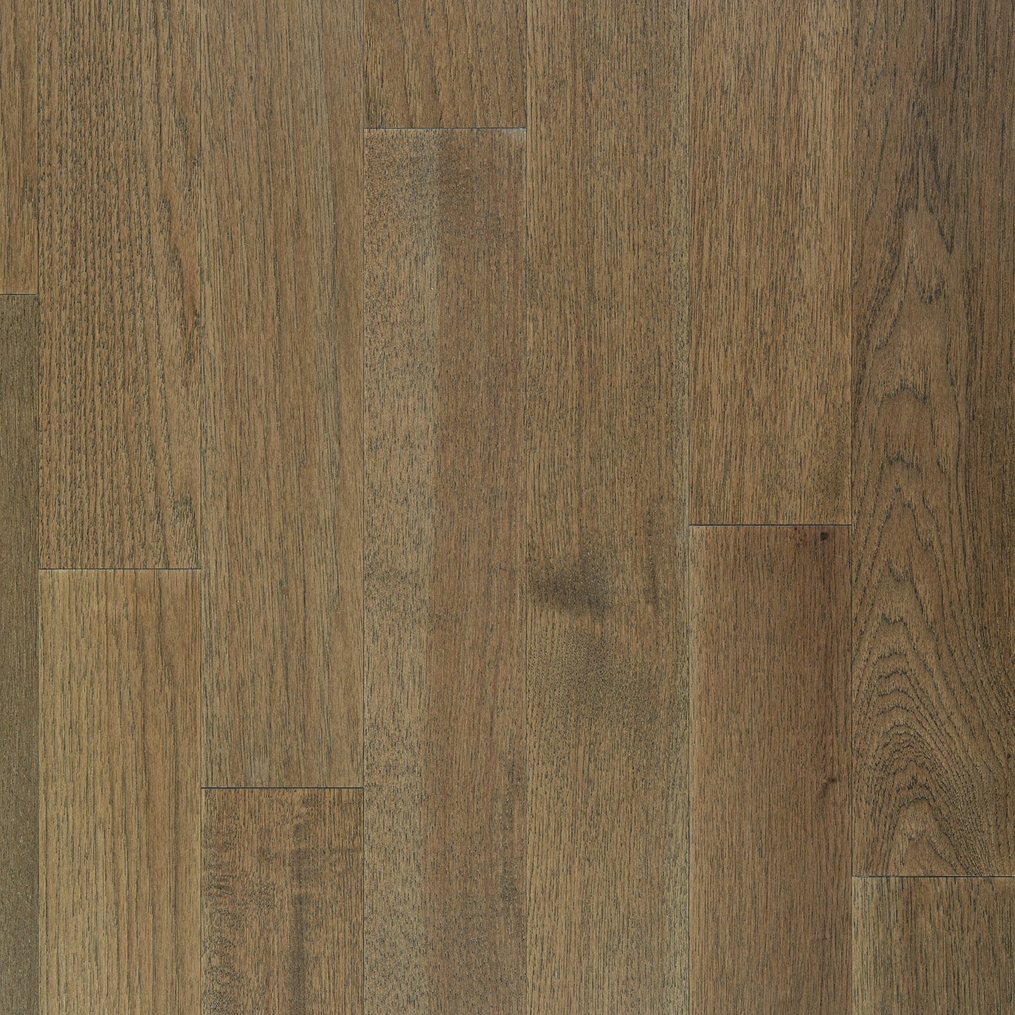 allen + roth Saddle Hickory 3-1/2-in W x 3/8-in T x 48-in Wirebrushed Engineered Hardwood Flooring (26.14-sq ft / Carton)