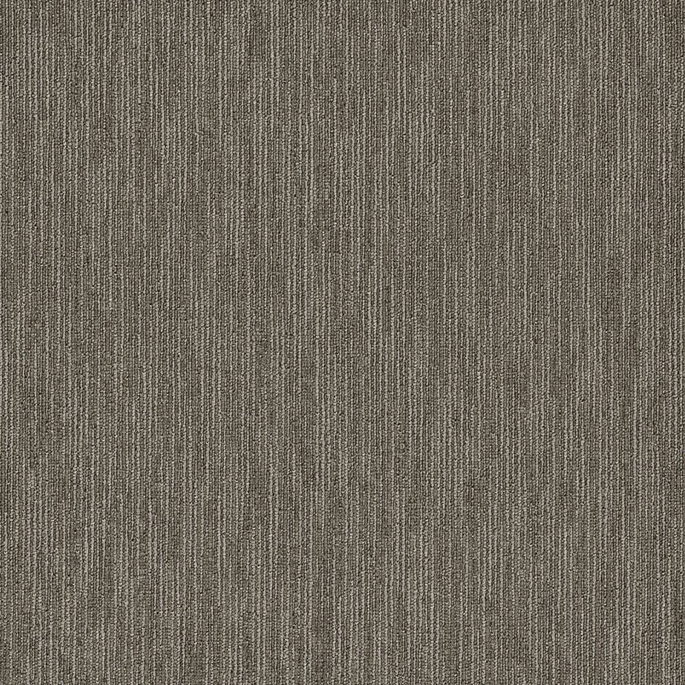 Shaw Go Getter 24-in x 24-in Masterful Gray Commercial Adhesive Indoor Carpet Tile (79.99-sq ft)