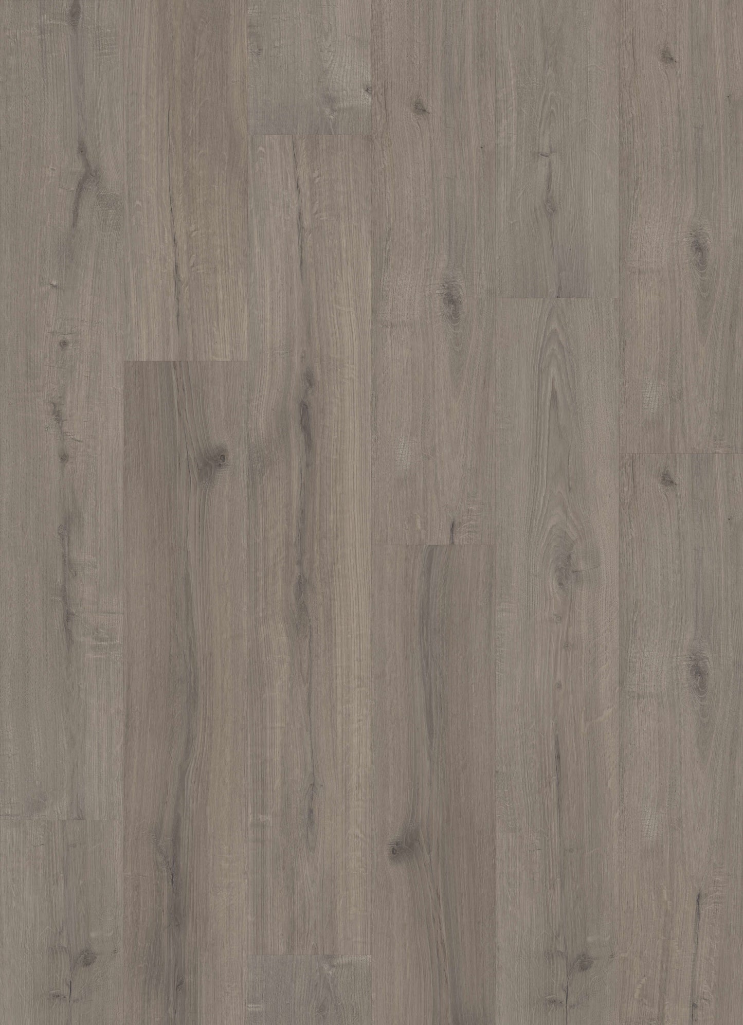 STAINMASTER PetProtect Trelawney Oak Gray 20-mil x 7-in W x 48-in L Waterproof Interlocking Luxury Vinyl Plank Flooring (19.22-sq ft/ Carton)