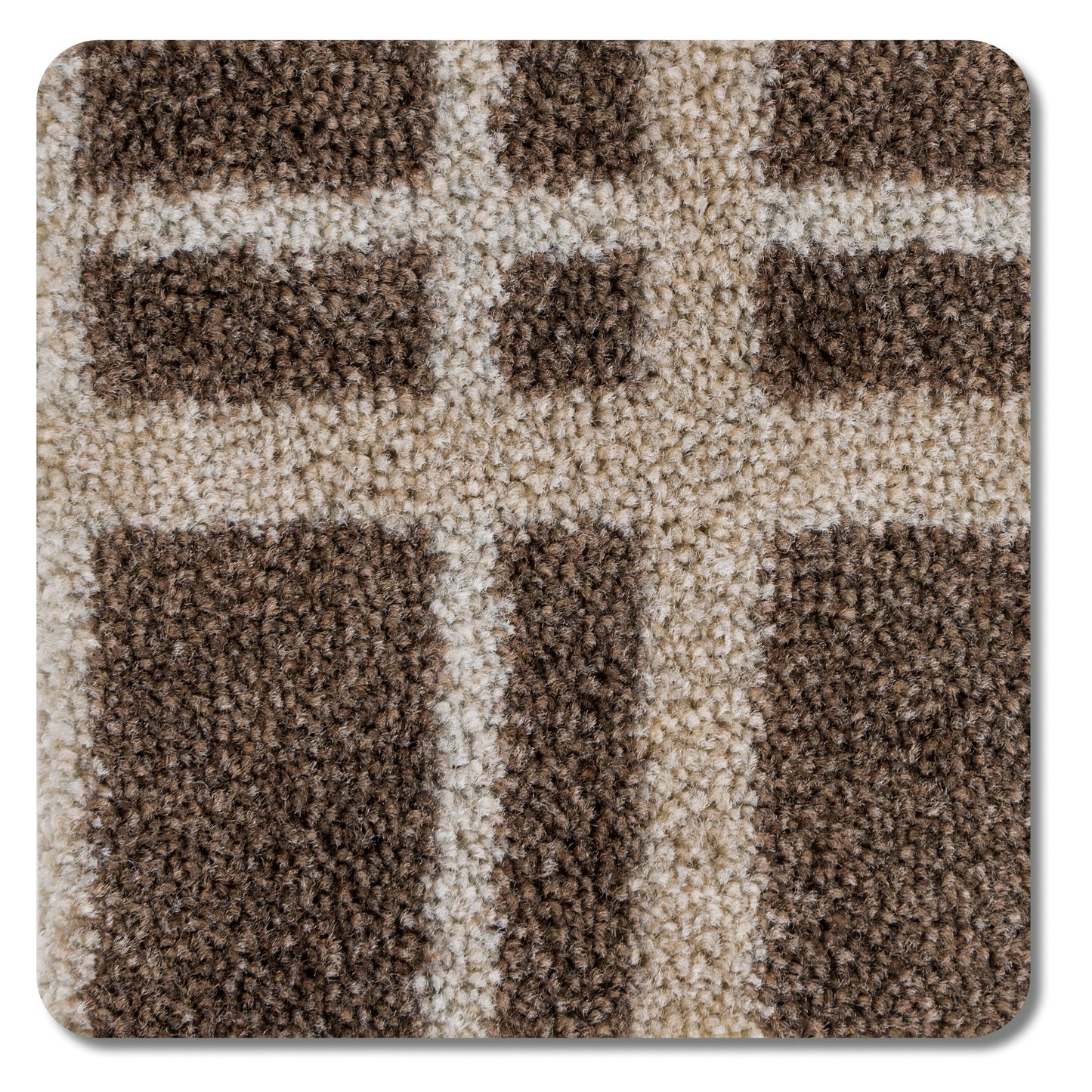 Joy Carpets Home and Office Broadfield Chocolate Brown 26-oz sq yard Nylon Pattern Indoor Carpet