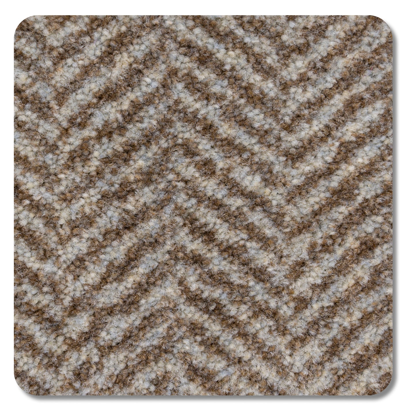 Home and Office Impressions Java Brown 26-oz sq yard Nylon Pattern Indoor Carpet