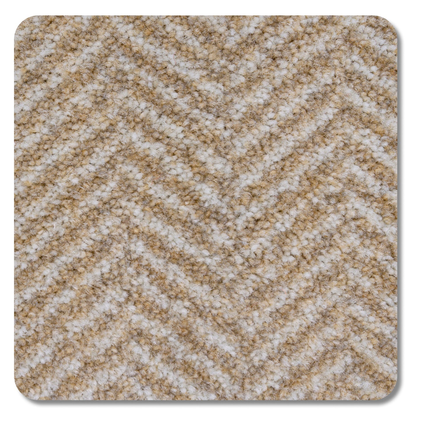 Home and Office Impressions Sand Brown 26-oz sq yard Nylon Pattern Indoor Carpet