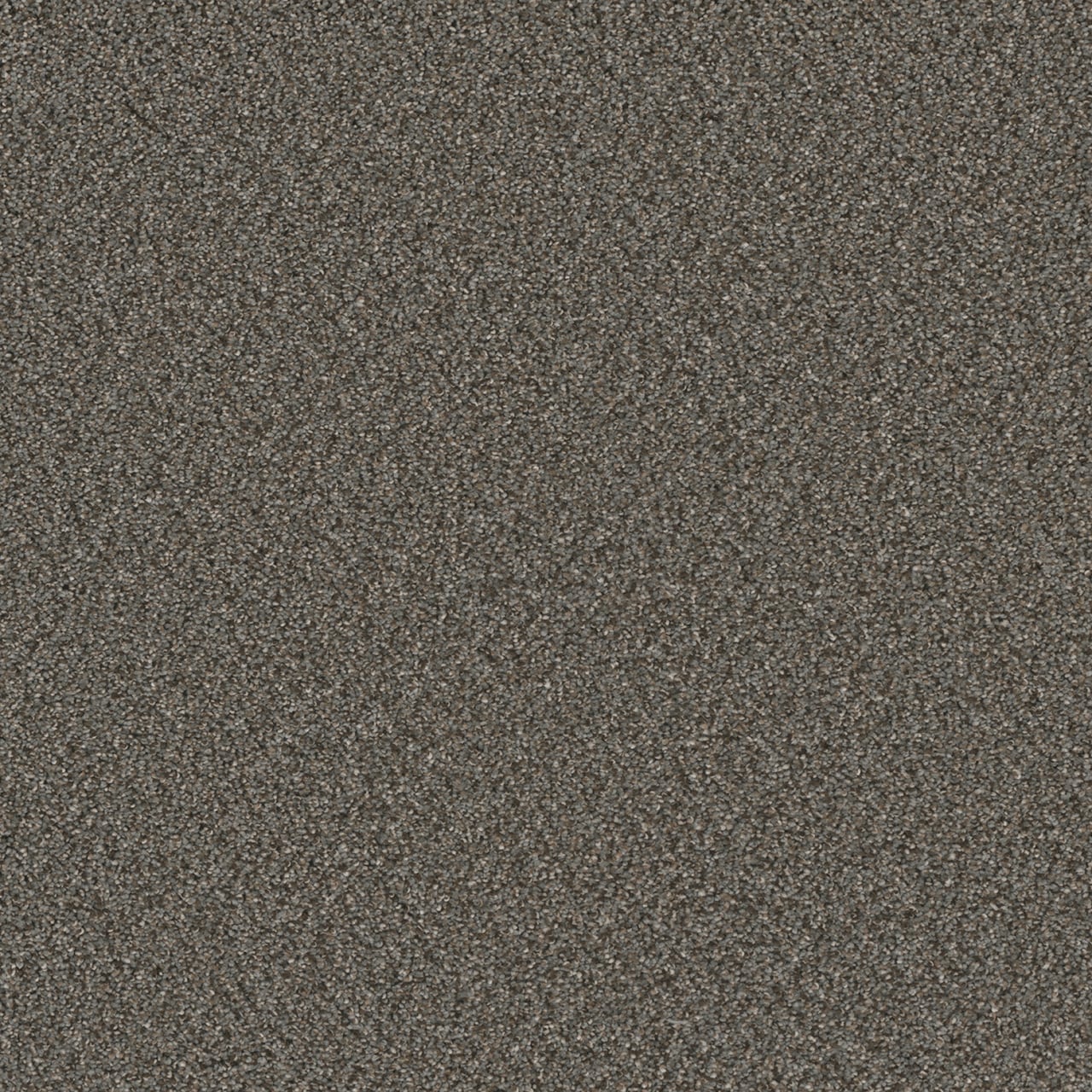 STAINMASTER The Kicker Gray 80-oz sq yard Solution-dyed Polyester Textured Indoor Carpet