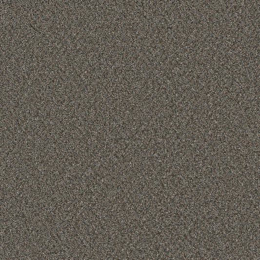 STAINMASTER The Kicker Gray 80-oz sq yard Solution-dyed Polyester Textured Indoor Carpet