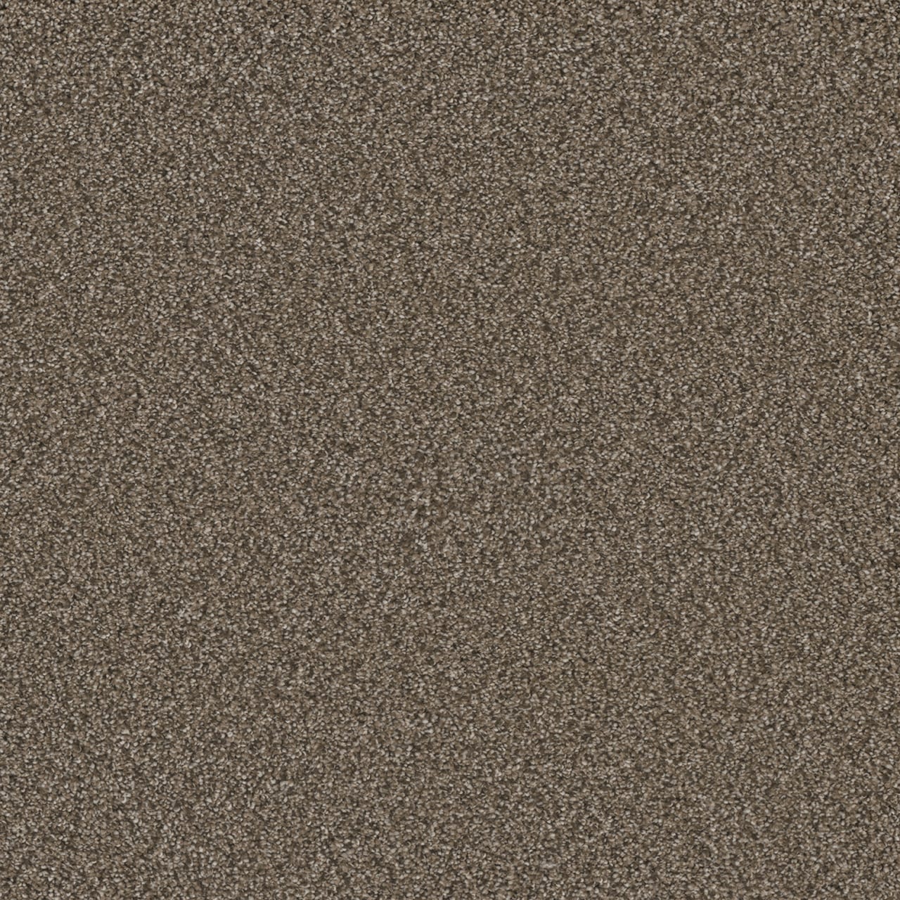 STAINMASTER Royal Flush III Straight Textured Indoor Carpet