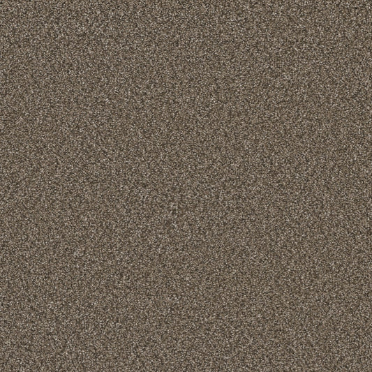 STAINMASTER Royal Flush III Straight Textured Indoor Carpet