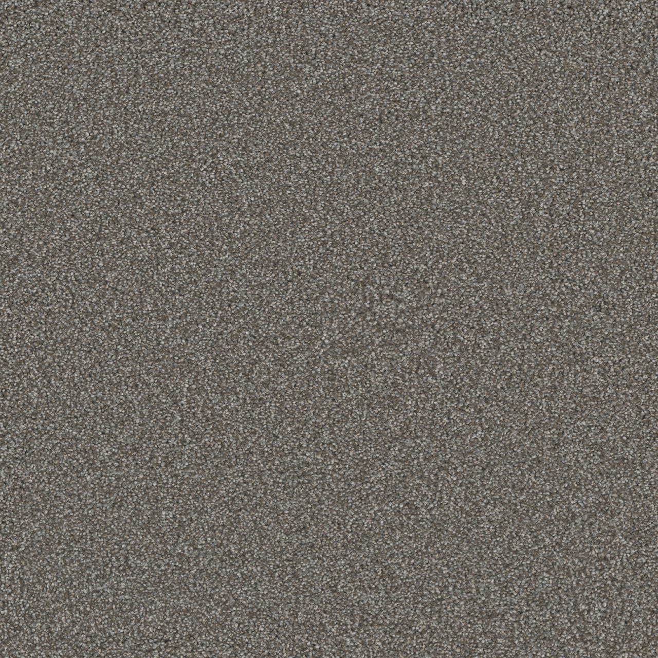 STAINMASTER Royal Flush III Showdown Textured Indoor Carpet