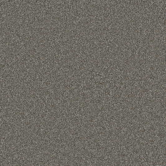 STAINMASTER Royal Flush III Showdown Textured Indoor Carpet