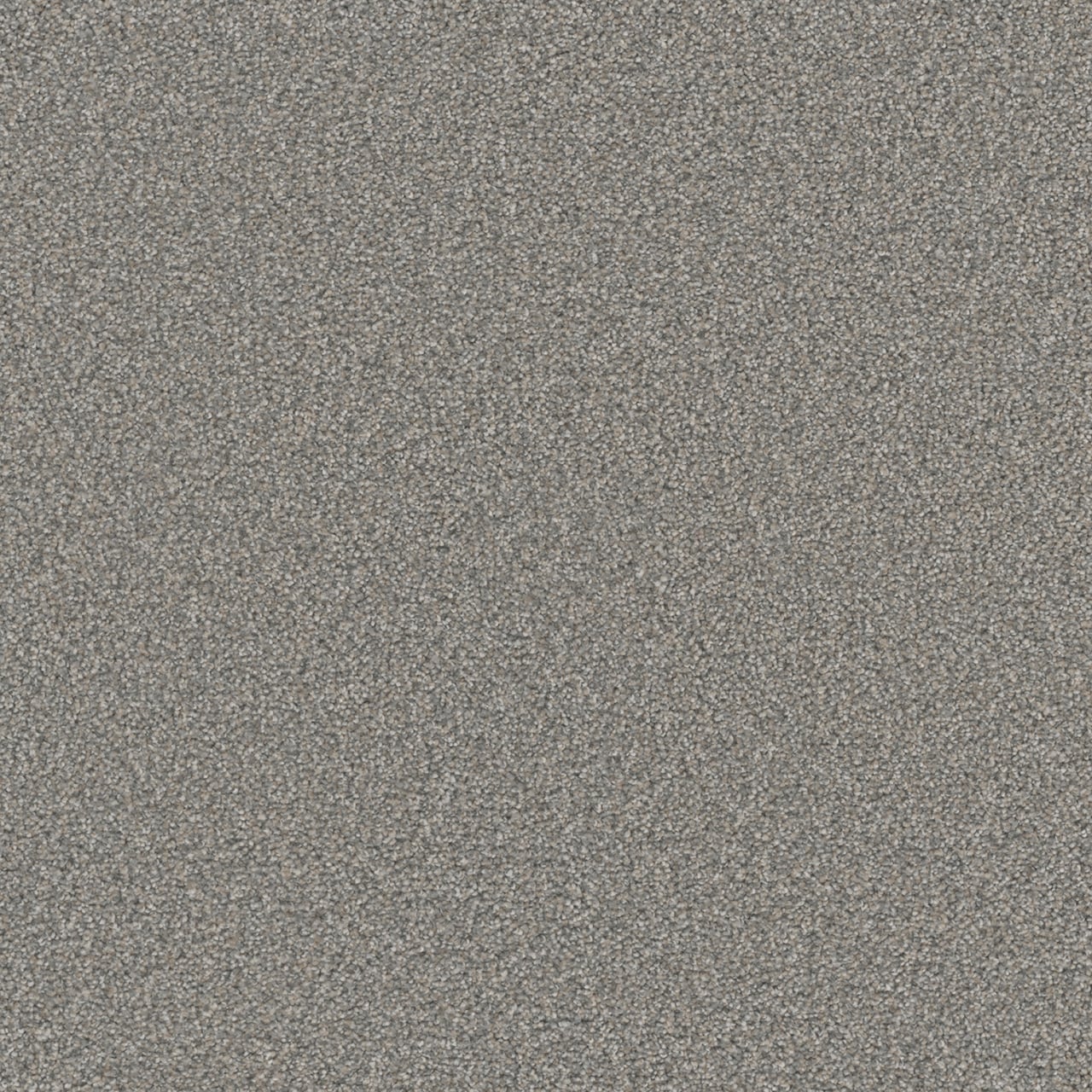 STAINMASTER Royal Flush III Quads Textured Indoor Carpet