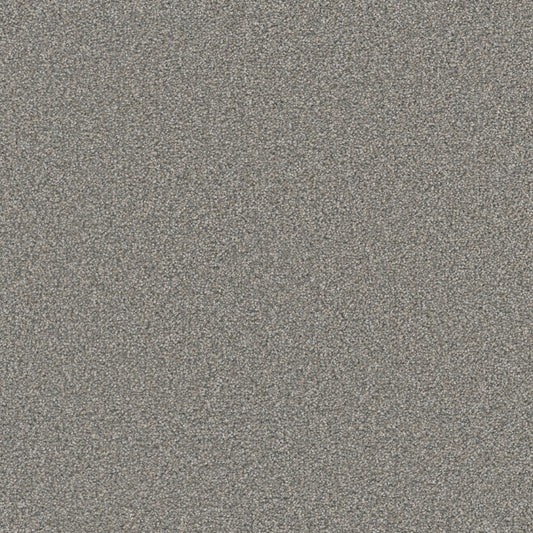 STAINMASTER Royal Flush III Quads Textured Indoor Carpet