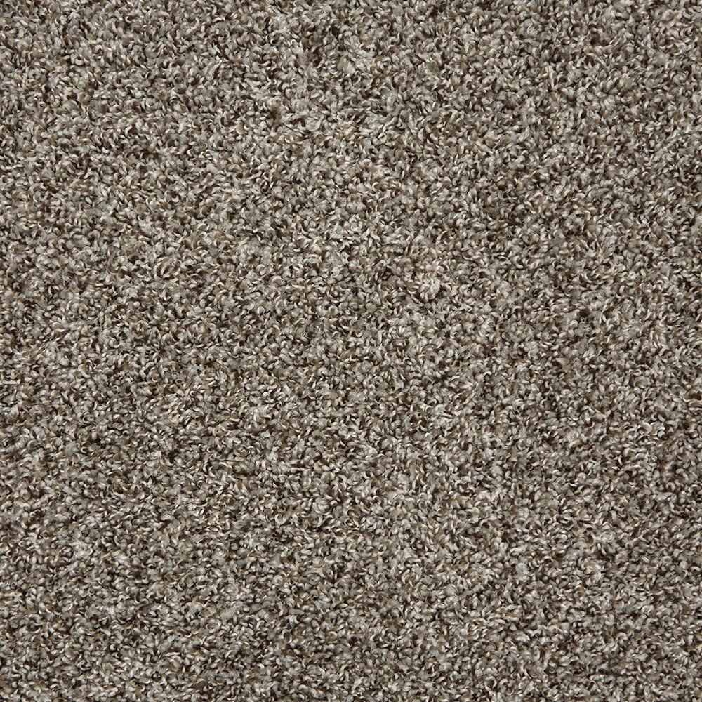 Style Selections Contemporary Feel DS Ash Gray 20-oz sq yard Solution-dyed Polyester Textured Indoor Carpet