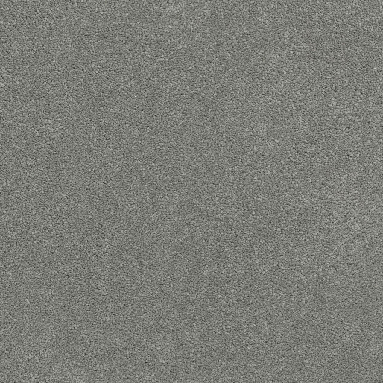 STAINMASTER Surfside Gray 65-oz sq yard Solution-dyed Polyester Textured Indoor Carpet