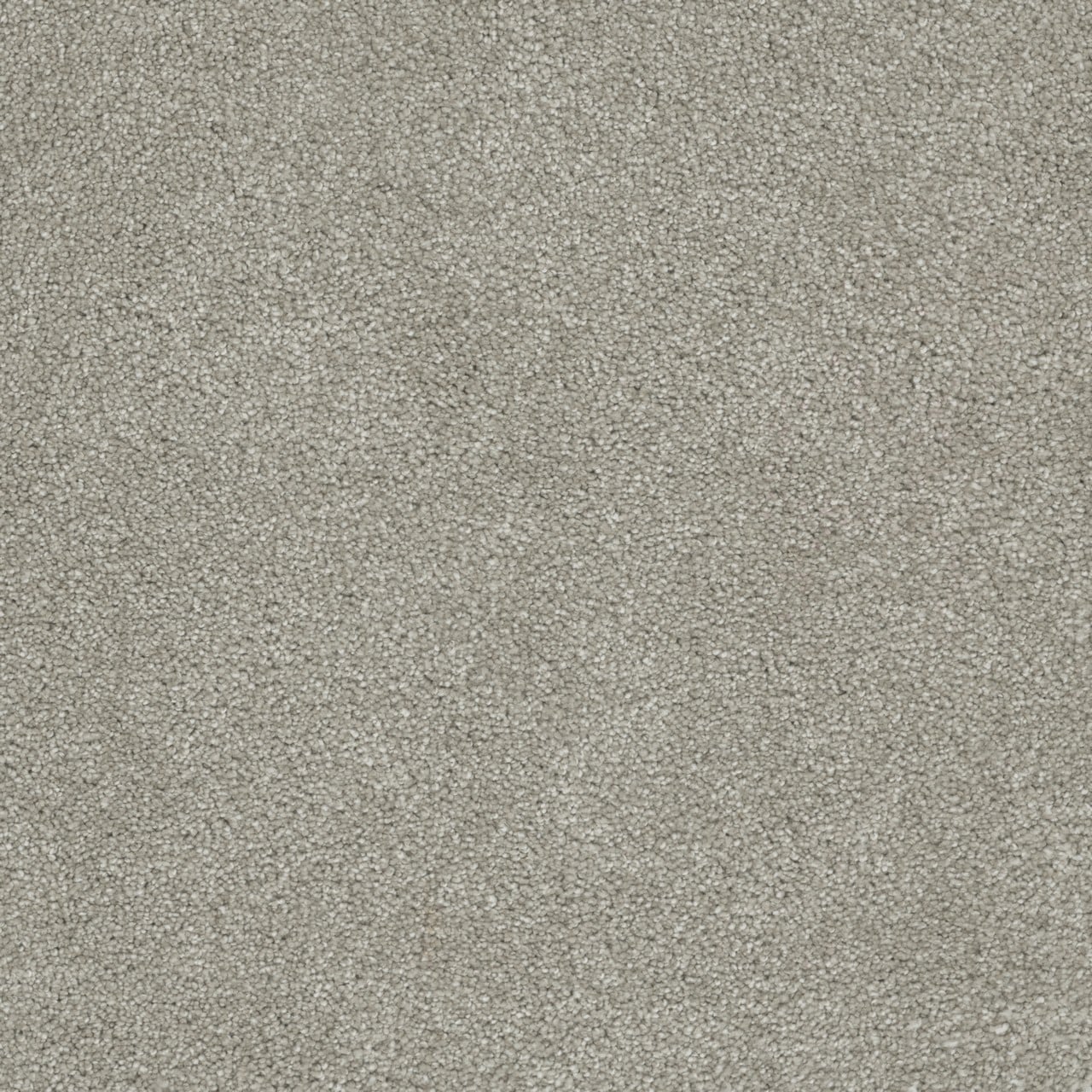 STAINMASTER Piano Riff Gray 65-oz sq yard Solution-dyed Polyester Textured Indoor Carpet