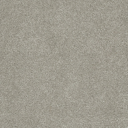 STAINMASTER Piano Riff Gray 65-oz sq yard Solution-dyed Polyester Textured Indoor Carpet