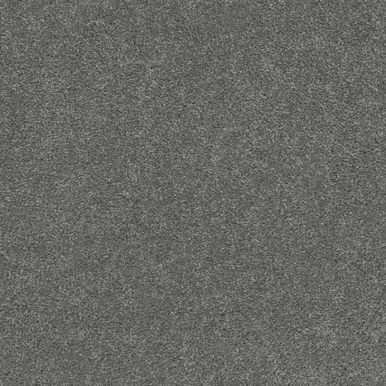 STAINMASTER Forest Sounds Gray 65-oz sq yard Solution-dyed Polyester Textured Indoor Carpet