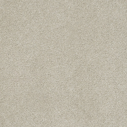 STAINMASTER Birdsong Off-white 65-oz sq yard Solution-dyed Polyester Textured Indoor Carpet