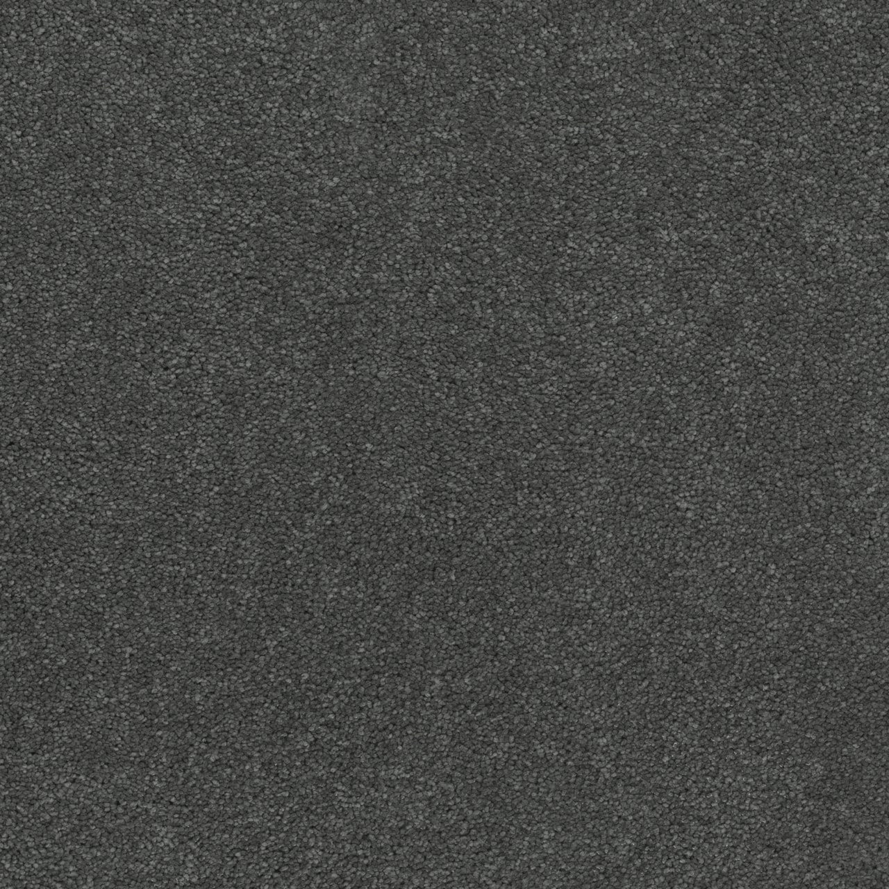 STAINMASTER Fizz Gray 65-oz sq yard Solution-dyed Polyester Textured Indoor Carpet