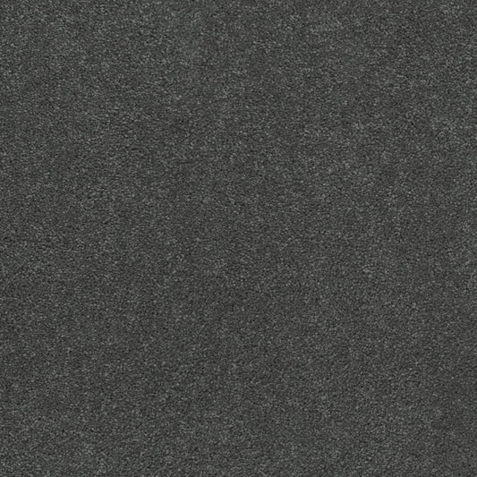 STAINMASTER Fizz Gray 65-oz sq yard Solution-dyed Polyester Textured Indoor Carpet