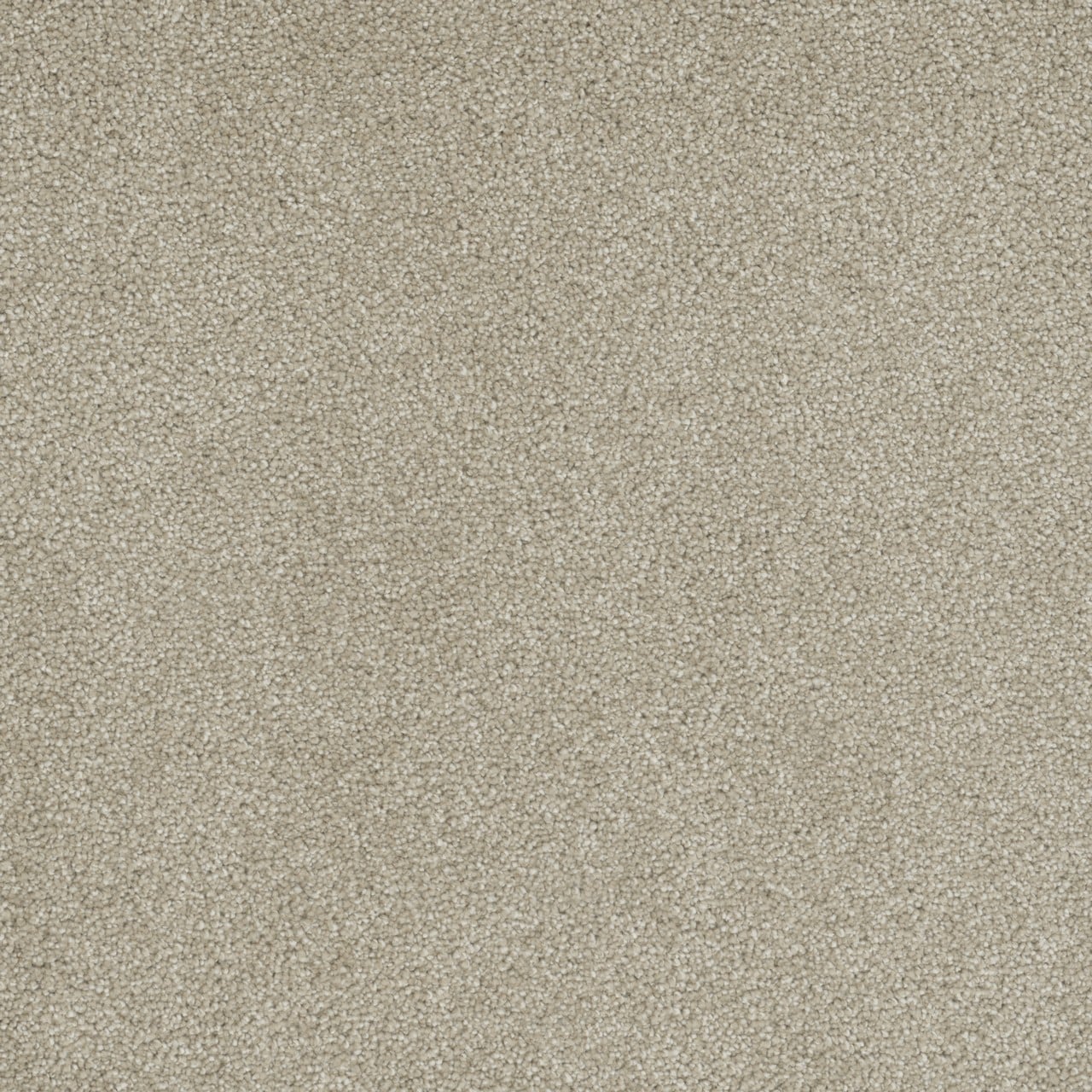 STAINMASTER First Cry Off-white 65-oz sq yard Solution-dyed Polyester Textured Indoor Carpet