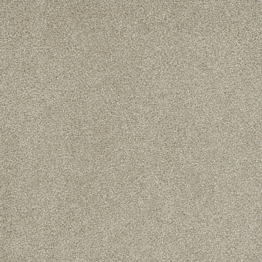 STAINMASTER First Cry Off-white 65-oz sq yard Solution-dyed Polyester Textured Indoor Carpet