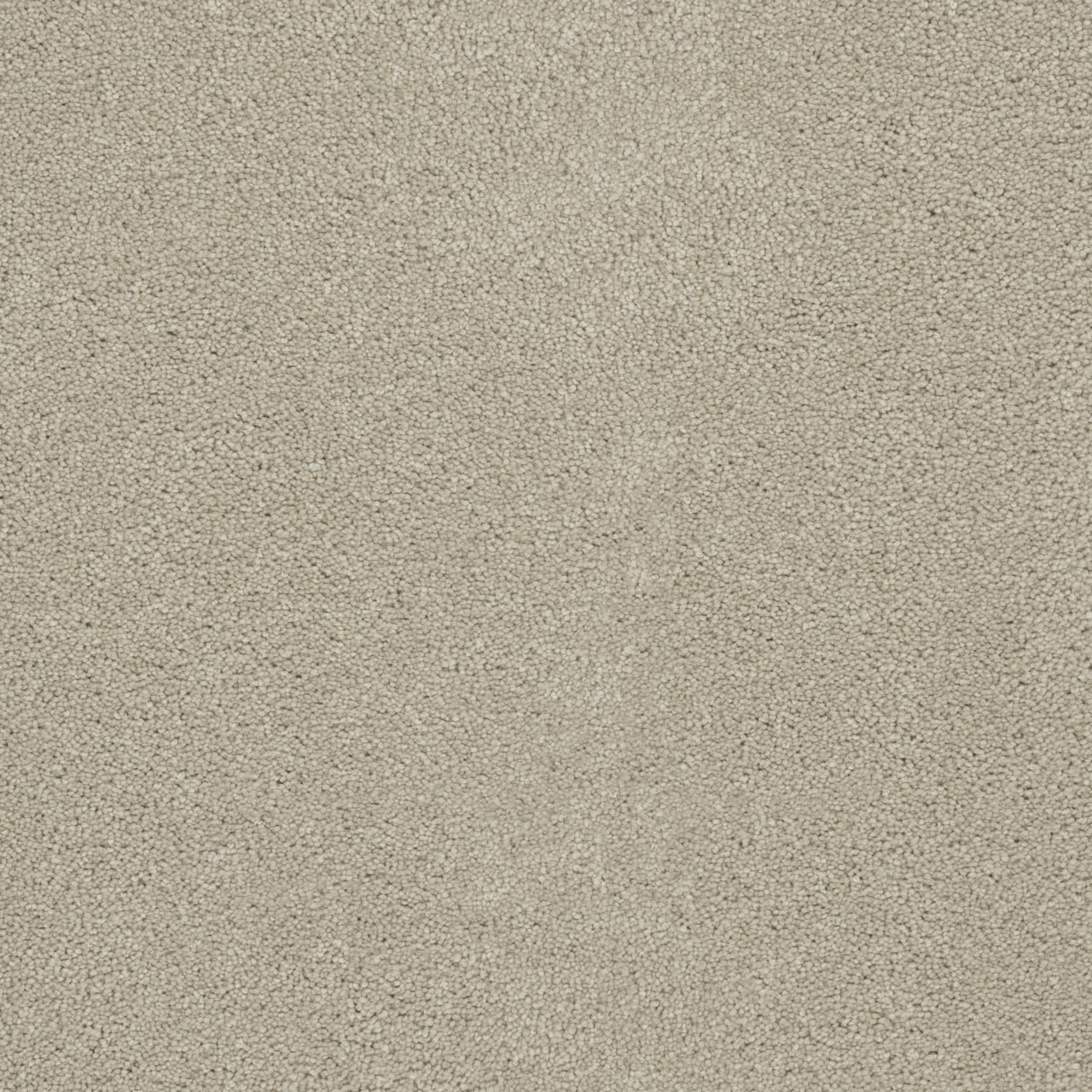 STAINMASTER Pop The Cork Yellow 65-oz sq yard Solution-dyed Polyester Textured Indoor Carpet