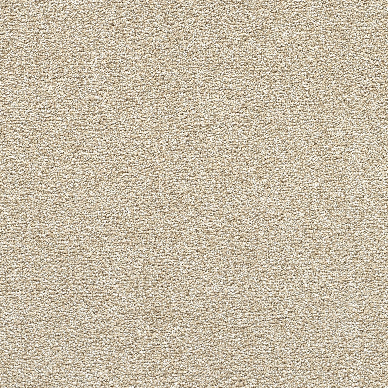 STAINMASTER Over The Moon III Pleased Textured Indoor Carpet