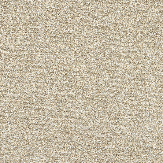 STAINMASTER Over The Moon III Pleased Textured Indoor Carpet