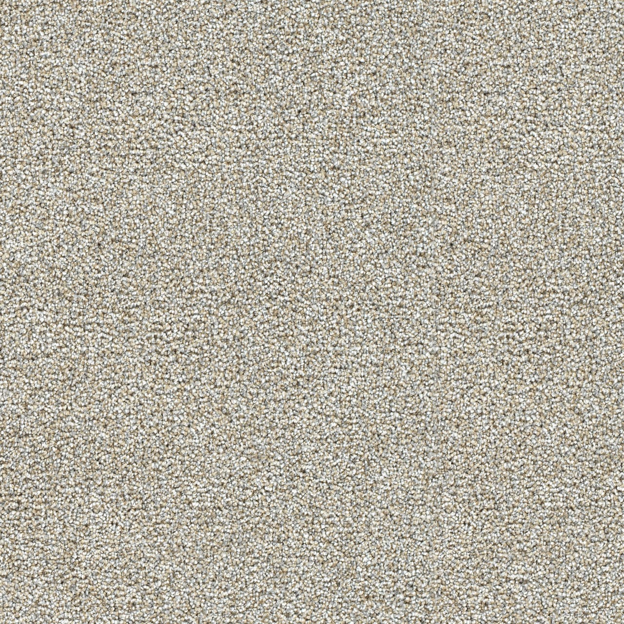 STAINMASTER Over The Moon III Overjoyed Textured Indoor Carpet