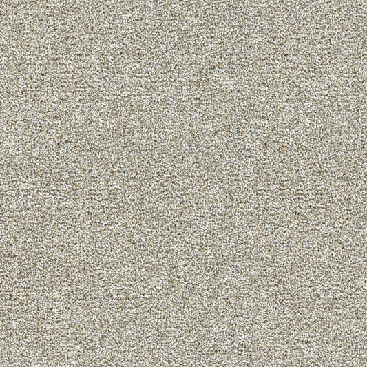 STAINMASTER Over The Moon III Overjoyed Textured Indoor Carpet