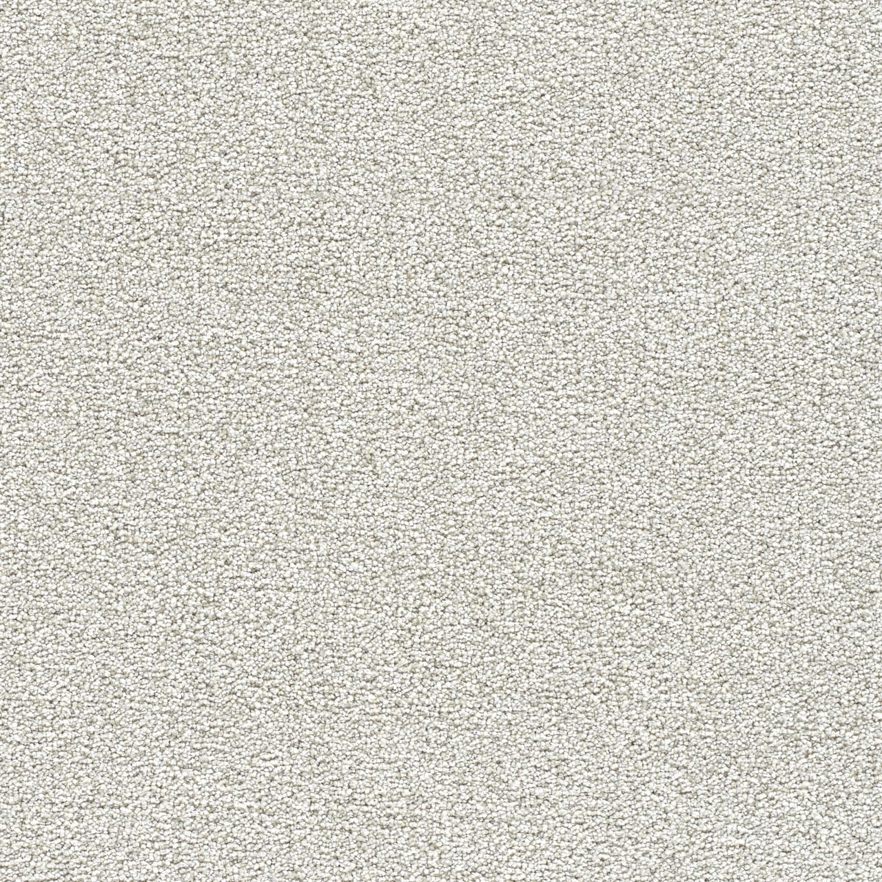 STAINMASTER Over The Moon III Rapturous Textured Indoor Carpet