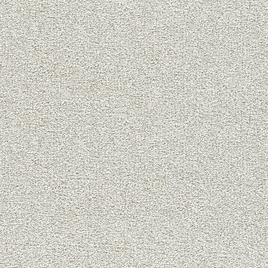 STAINMASTER Over The Moon III Rapturous Textured Indoor Carpet