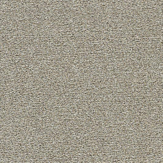 STAINMASTER Over The Moon III Cloud Nine Textured Indoor Carpet