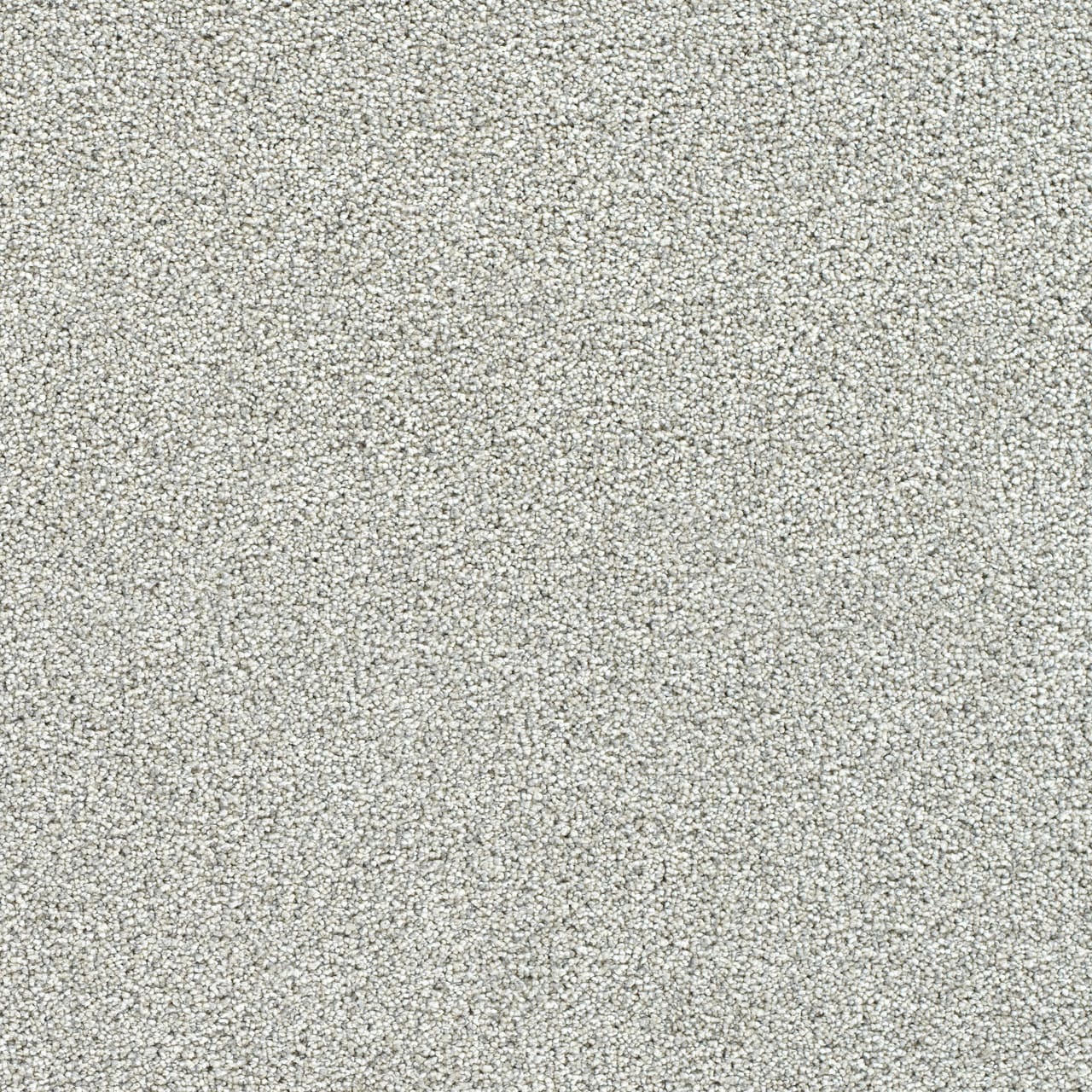 STAINMASTER Over The Moon III Sheer Bliss Textured Indoor Carpet