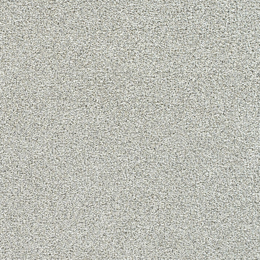 STAINMASTER Over The Moon III Sheer Bliss Textured Indoor Carpet