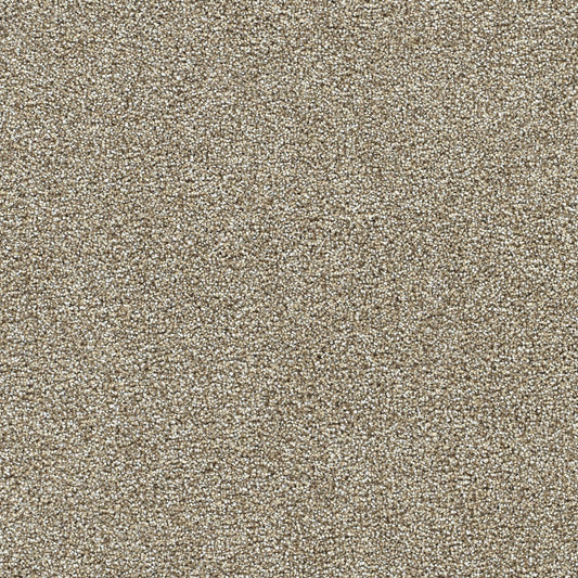 STAINMASTER Over The Moon III Walking on Air Textured Indoor Carpet