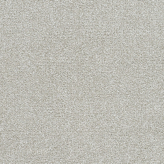 STAINMASTER Over The Moon III Seventh Heaven Textured Indoor Carpet