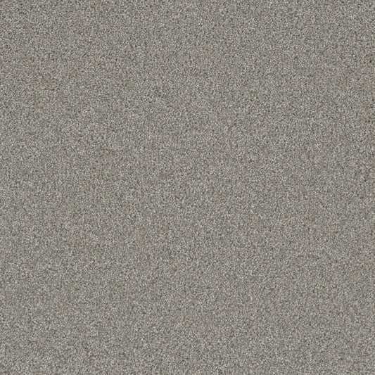 STAINMASTER Royal Flush III Four Of A Kind Textured Indoor Carpet