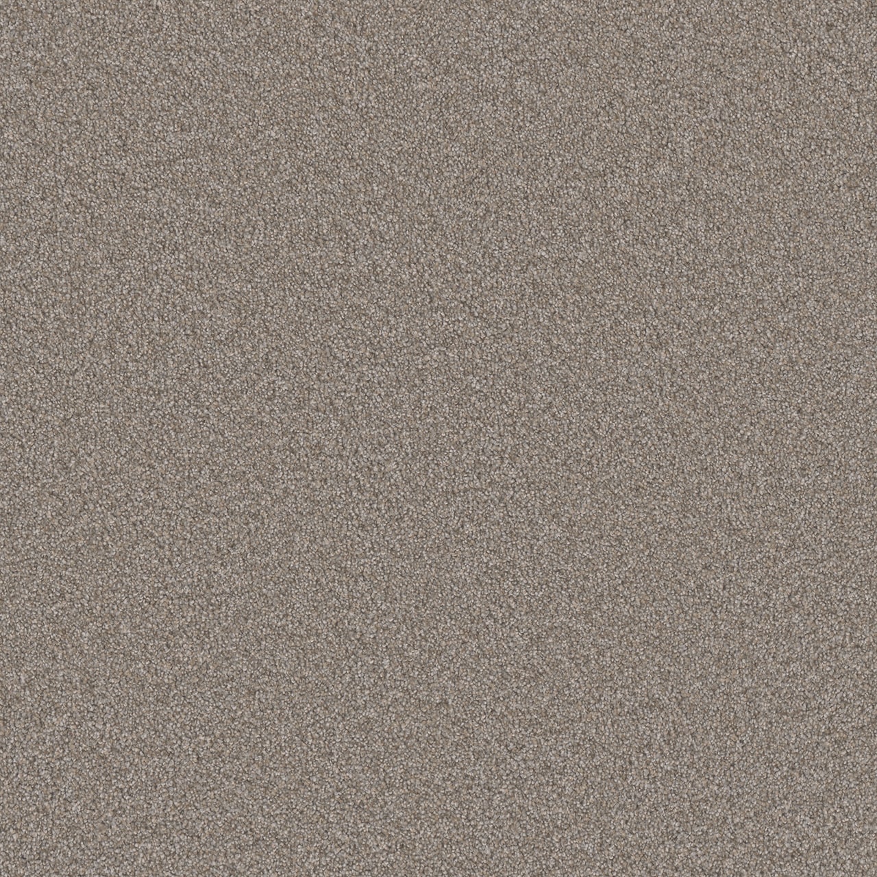 STAINMASTER Royal Flush III Same Suit Textured Indoor Carpet