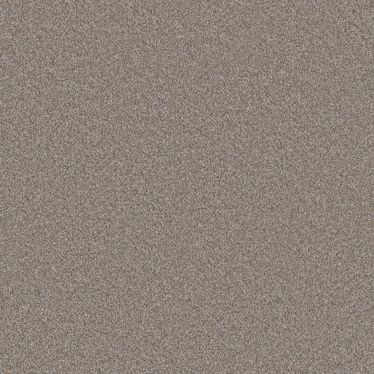 STAINMASTER Royal Flush III Same Suit Textured Indoor Carpet