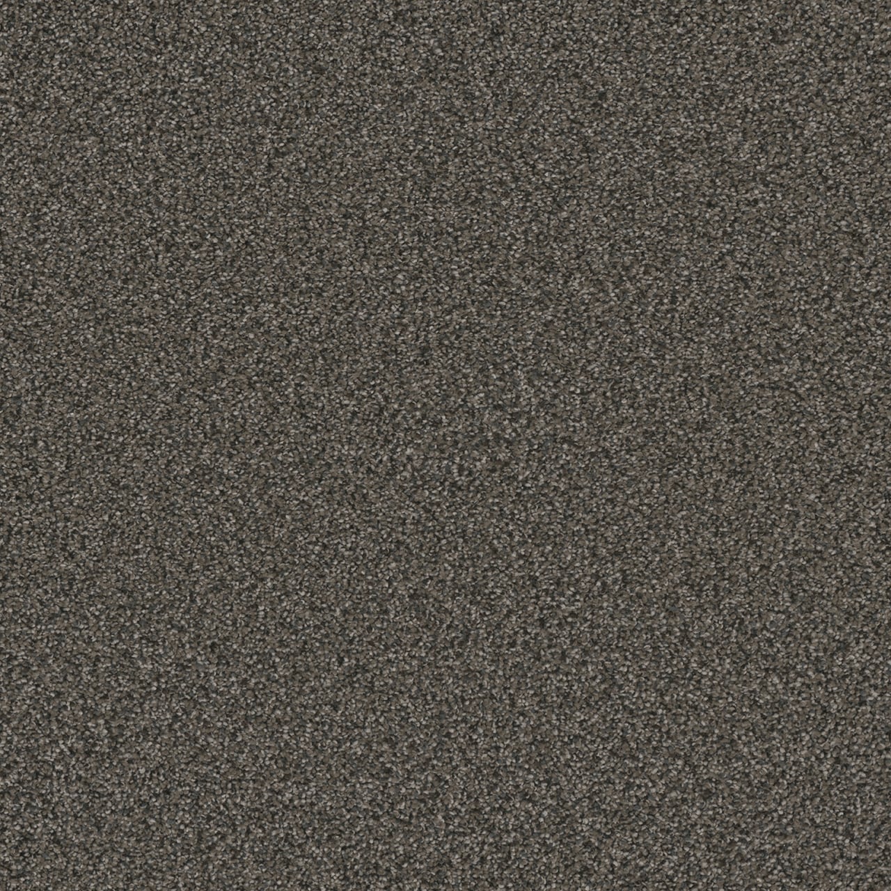 STAINMASTER Royal Flush III All Aces Textured Indoor Carpet