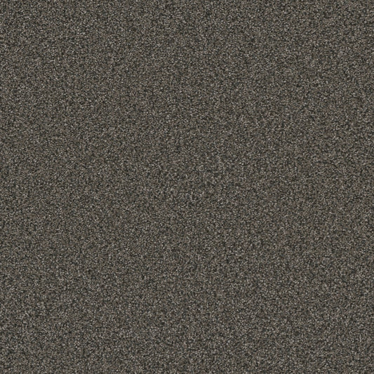 STAINMASTER Royal Flush III All Aces Textured Indoor Carpet