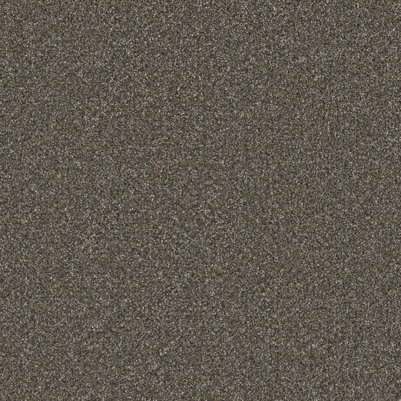 STAINMASTER Royal Flush III Deuces Textured Indoor Carpet