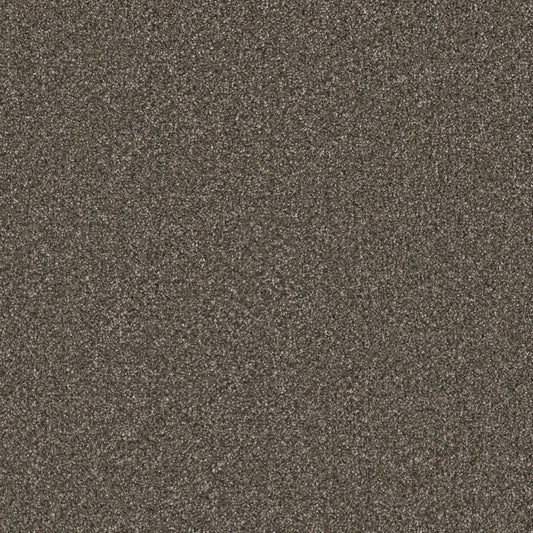 STAINMASTER Royal Flush III Deuces Textured Indoor Carpet